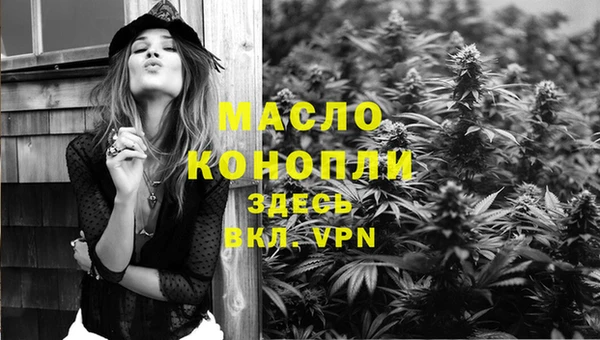 сатива Аркадак