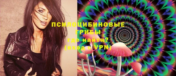прущие крисы Арсеньев