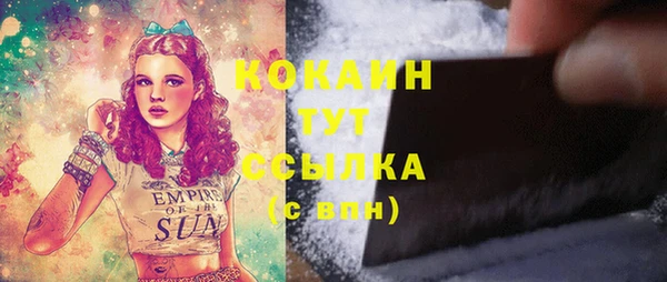 хмурый Ладушкин