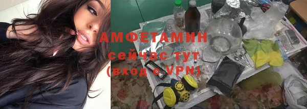 сатива Аркадак