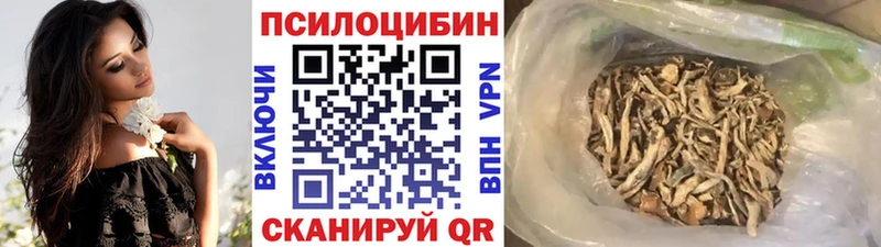 дарнет шоп  Семикаракорск  Галлюциногенные грибы Psilocybine cubensis 